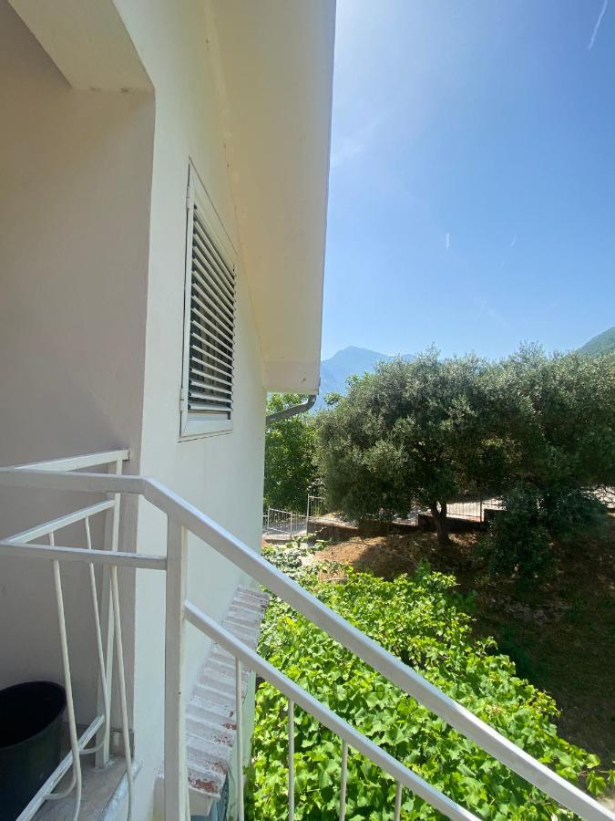 Djuricic * Kotor