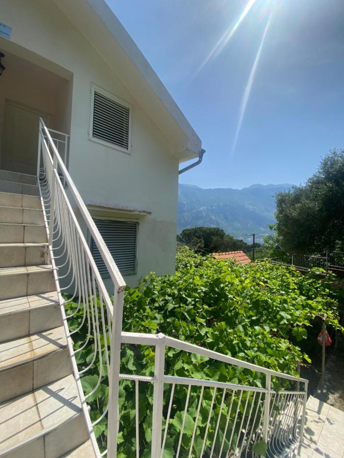 Apartment Djuricic *