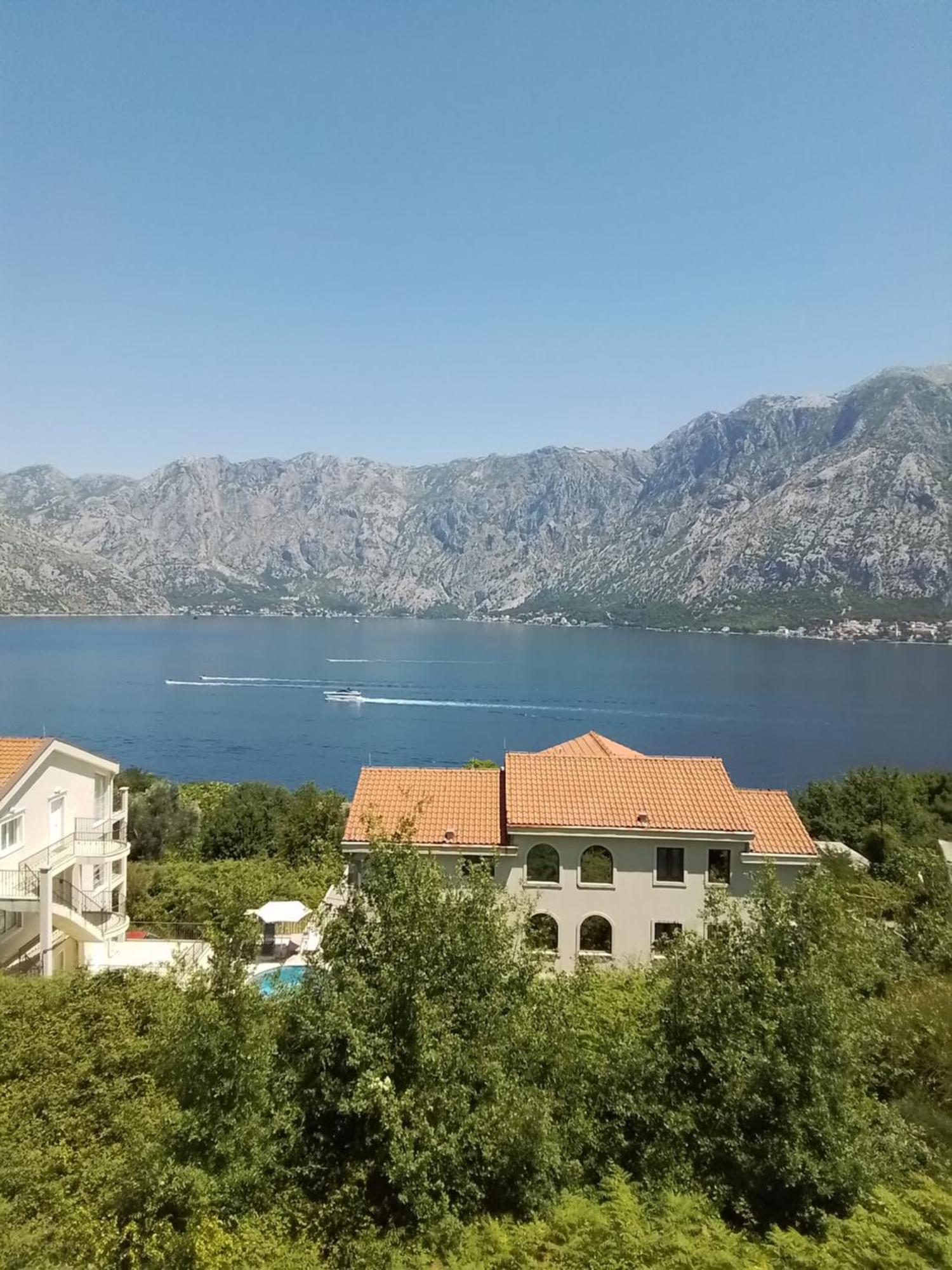 Djuricic Apartment *
